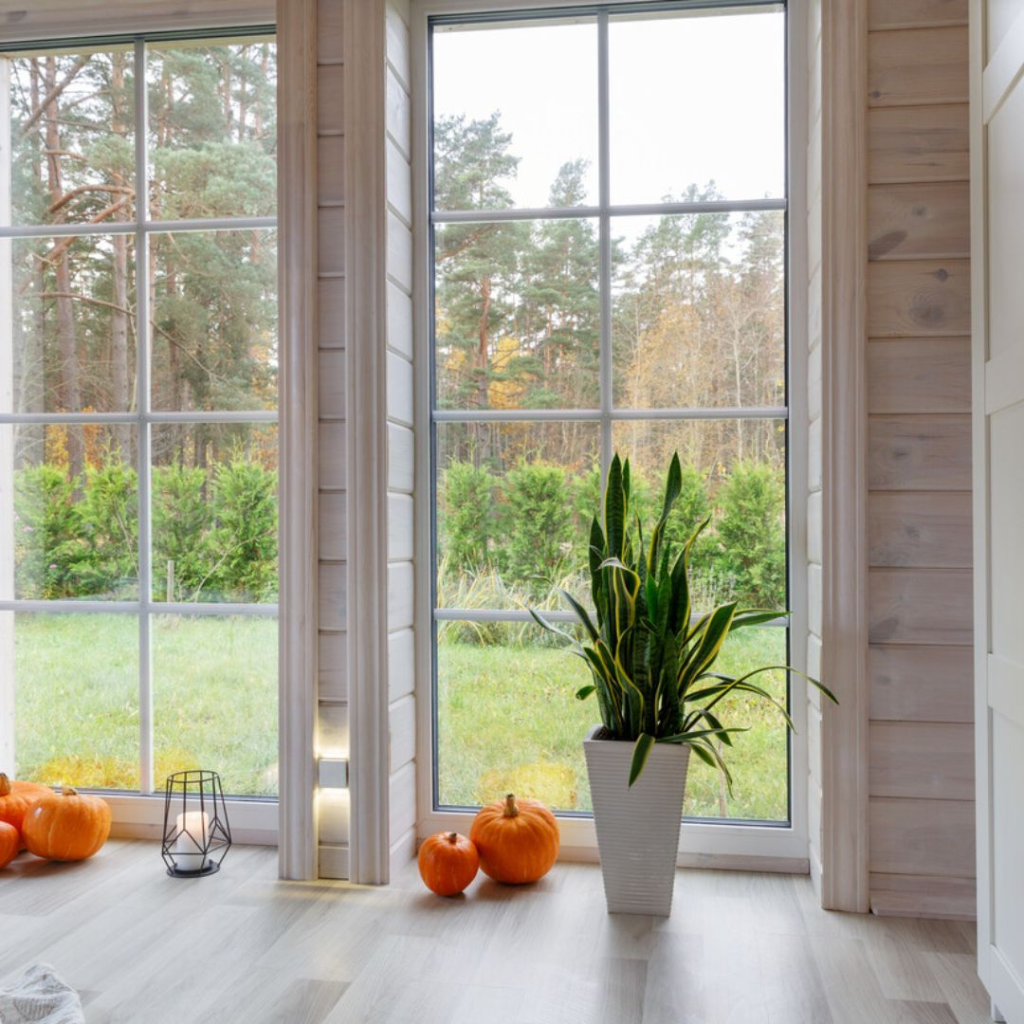 Vinyl Picture Windows