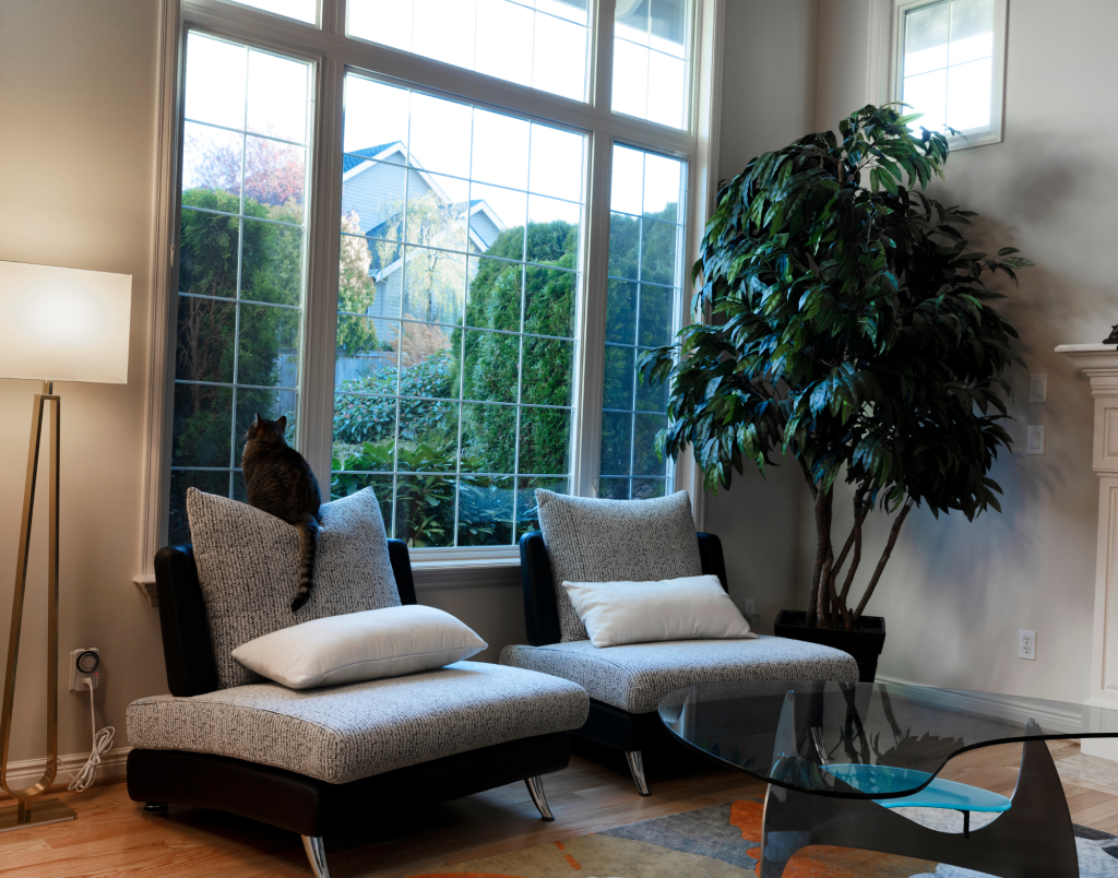 Window Replacements